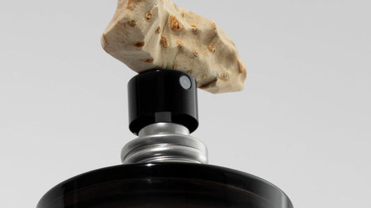 A questo proposito: qual è il vero odore delle Fragrances Orris?