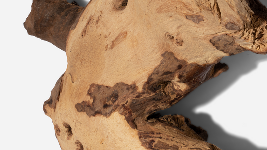 Dal sandalo al Bergamot: Capire le note di fragranza più diffuse