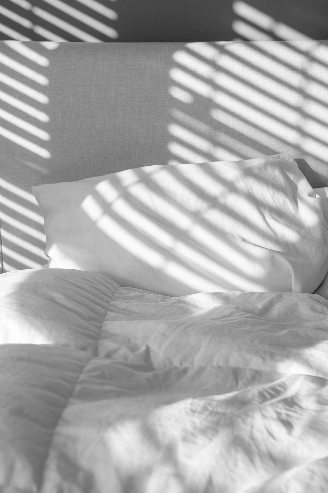 5 fatti interessanti che non conoscevate sulle fragranze